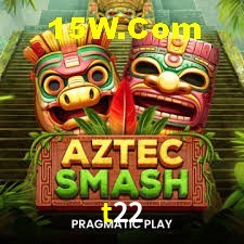 Experiência VIP t22